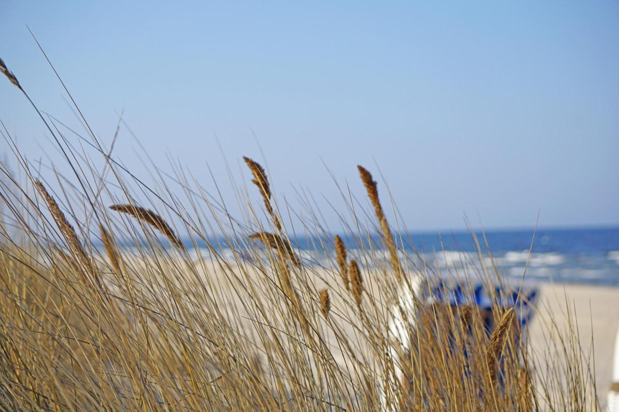 Kaisers Vis _ Vis Heringsdorf (Usedom) Exterior foto